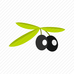 <em>橄榄</em>