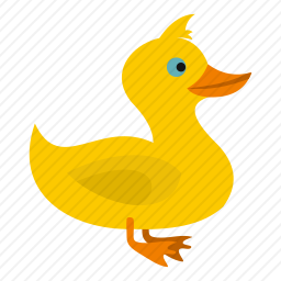 鸭子