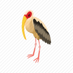 鹳