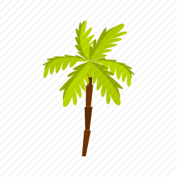 椰子树
