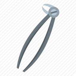 <em>牙科</em>钳子