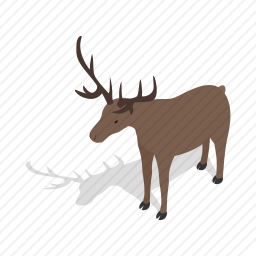 獐鹿