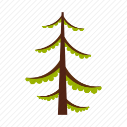 <em>松树</em>
