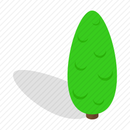 树木