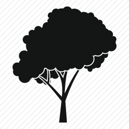<em>树木</em>