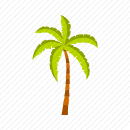 棕榈树