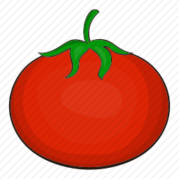 <em>番茄</em>