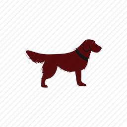 猎犬
