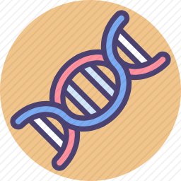 DNA