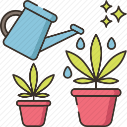 植物