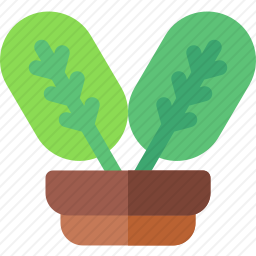 植物