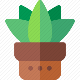 植物