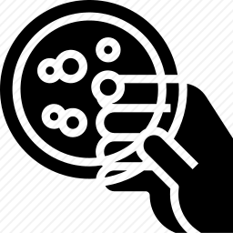 <em>培养皿</em>