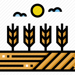 <em>小麦</em>