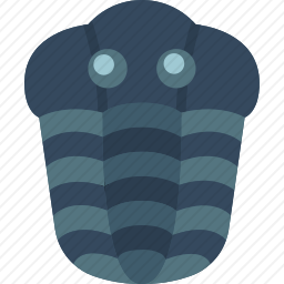 <em>贝类</em>