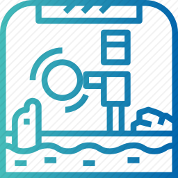 海豚表演