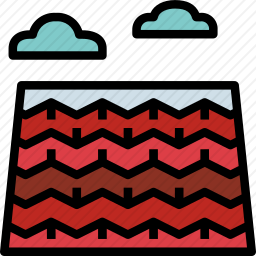 屋顶