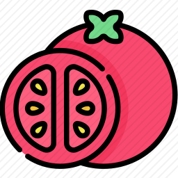 <em>番茄</em>