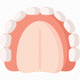 <em>牙齿</em>