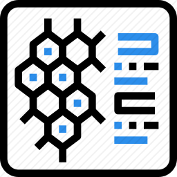 <em>实验报告</em>
