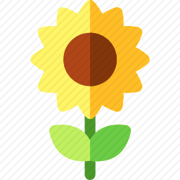 <em>向日葵</em>