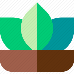 <em>莲花</em>