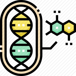 DNA
