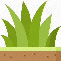 草