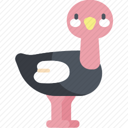 鸵鸟