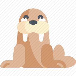 海象