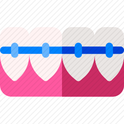 <em>牙齿</em>