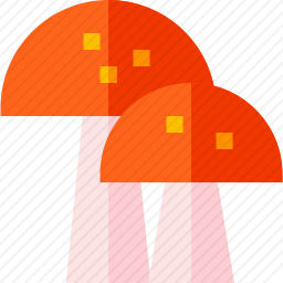 <em>蘑菇</em>