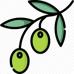 <em>橄榄</em>
