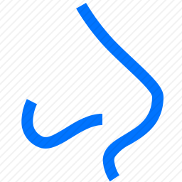 鼻子