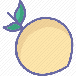 <em>杏</em>