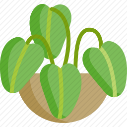 植物