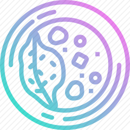 <em>咖喱</em>