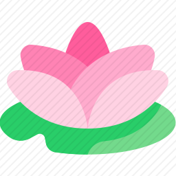 莲花