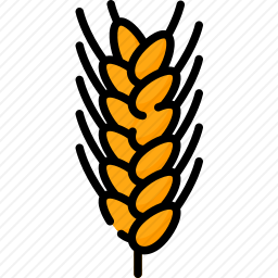 <em>小麦</em>