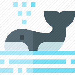 <em>虎鲸</em>