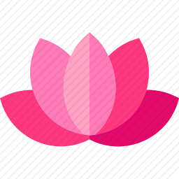 <em>莲花</em>