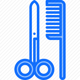 <em>梳子</em>