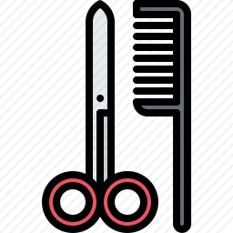 <em>梳子</em>