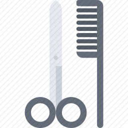 <em>梳子</em>