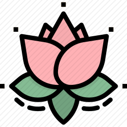 莲花