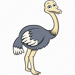 <em>鸵鸟</em>