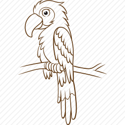 <em>鹦鹉</em>