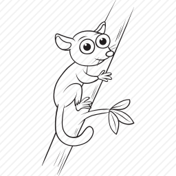 鼬<em>狐猴</em>