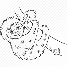 树懒