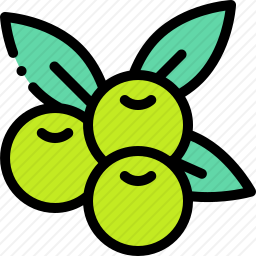 <em>橄榄</em>